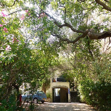 Hotel Cap Soleil Cavalaire-sur-Mer Εξωτερικό φωτογραφία