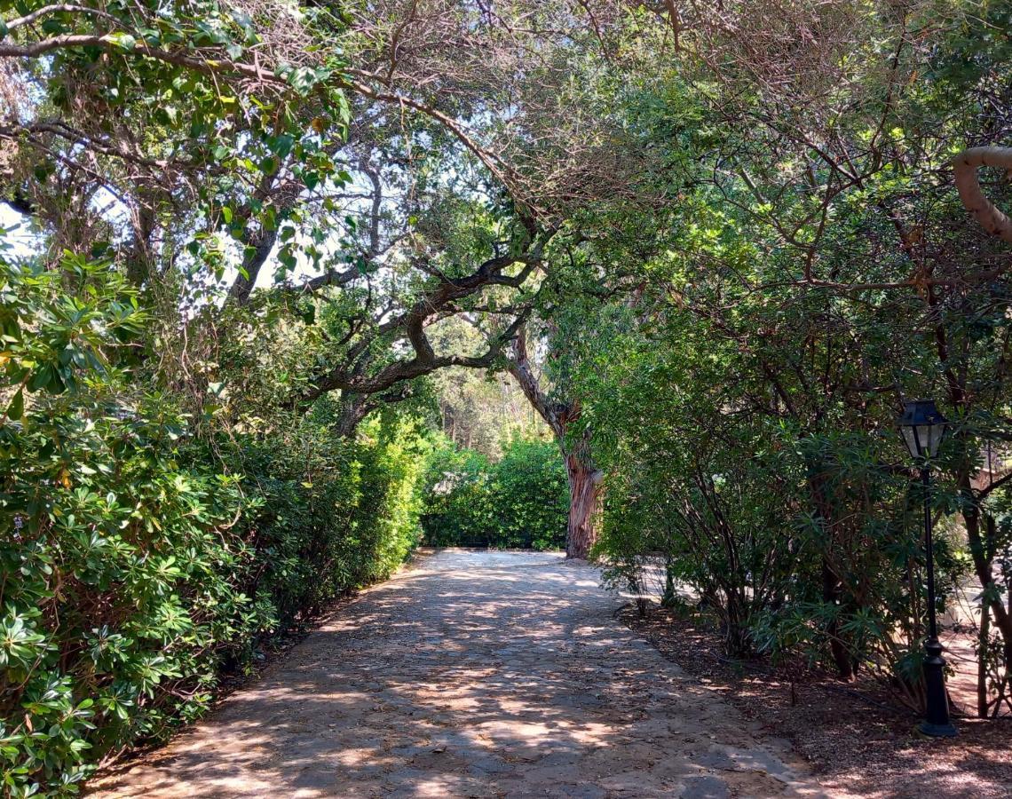 Hotel Cap Soleil Cavalaire-sur-Mer Εξωτερικό φωτογραφία