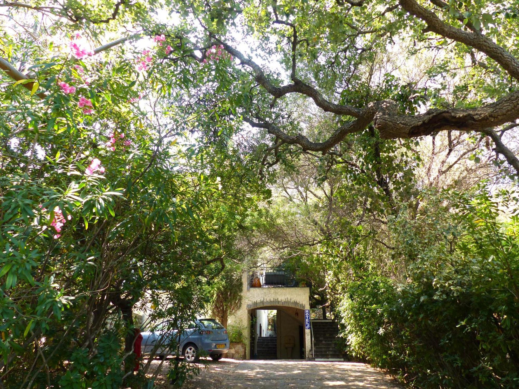 Hotel Cap Soleil Cavalaire-sur-Mer Εξωτερικό φωτογραφία