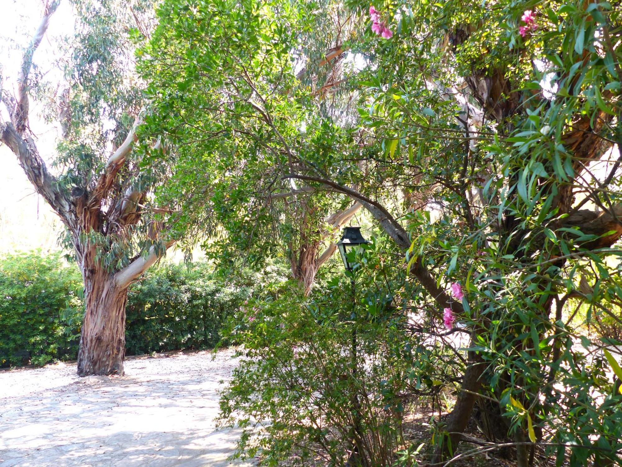 Hotel Cap Soleil Cavalaire-sur-Mer Εξωτερικό φωτογραφία