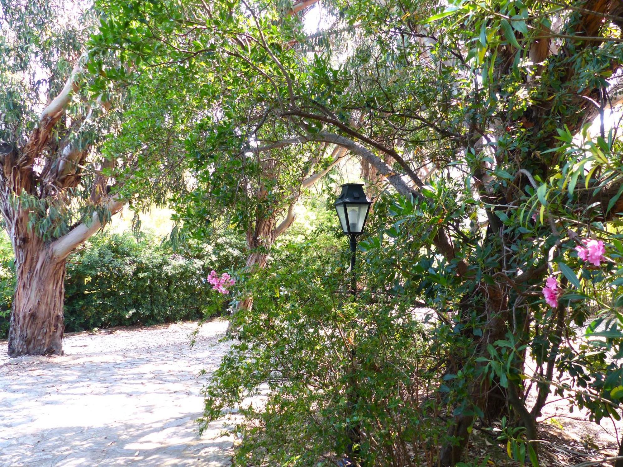 Hotel Cap Soleil Cavalaire-sur-Mer Εξωτερικό φωτογραφία